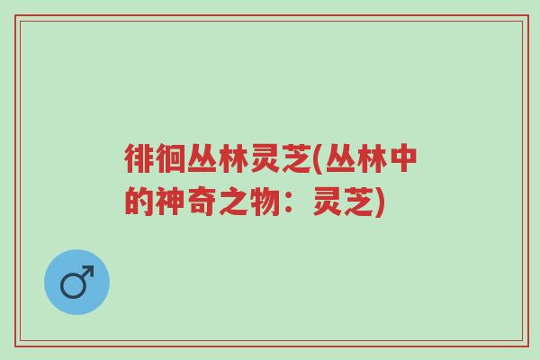 徘徊丛林灵芝(丛林中的神奇之物:灵芝)-第1张图片-超越 徘徊丛林灵芝(丛林中的神奇之物:灵芝)-第1张图片-超越