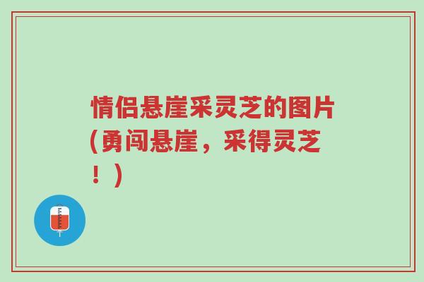 情侣悬崖采灵芝的图片(勇闯悬崖，采得灵芝！)-第1张图片-超越