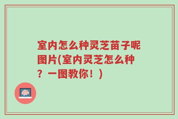 室内怎么种灵芝苗子呢图片(室内灵芝怎么种?一图教你!)-第1张图片-超越 室内怎么种灵芝苗子呢图片(室内灵芝怎么种?一图教你!)-第1张图片-超越