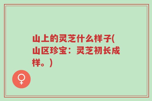 山上的灵芝什么样子(山区珍宝:灵芝初长成样。)-第1张图片-超越 山上的灵芝什么样子(山区珍宝:灵芝初长成样。)-第1张图片-超越