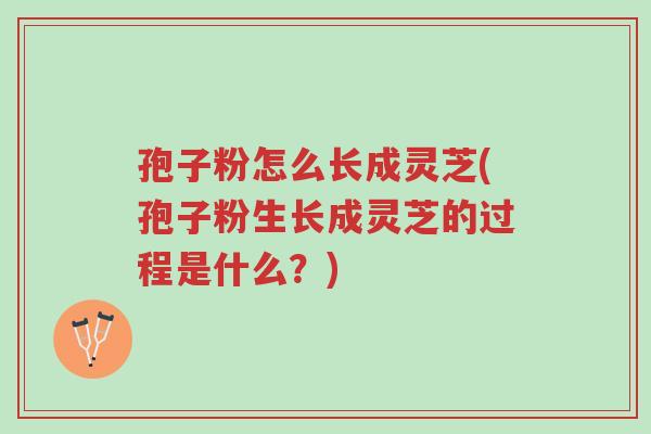 孢子粉怎么长成灵芝(孢子粉生长成灵芝的过程是什么?)-第1张图片-超越 孢子粉怎么长成灵芝(孢子粉生长成灵芝的过程是什么?)-第1张图片-超越