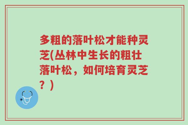 多粗的落叶松才能种灵芝(丛林中生长的粗壮落叶松,如何培育灵芝?)-第1张图片-超越 多粗的落叶松才能种灵芝(丛林中生长的粗壮落叶松,如何培育灵芝?)-第1张图片-超越