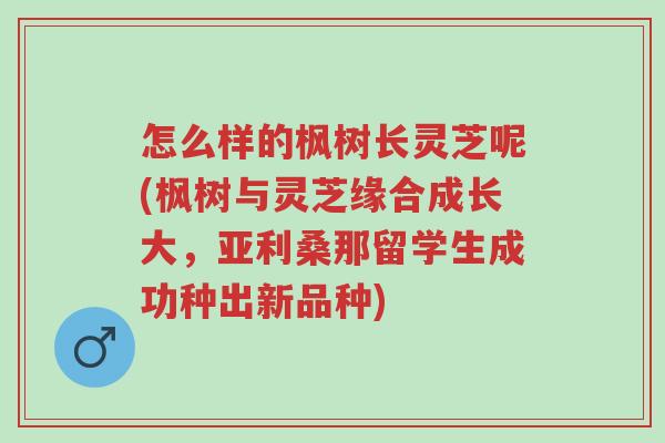 怎么样的枫树长灵芝呢(枫树与灵芝缘合成长大,亚利桑那留学生成功种出新品种)-第1张图片-超越 怎么样的枫树长灵芝呢(枫树与灵芝缘合成长大,亚利桑那留学生成功种出新品种)-第1张图片-超越
