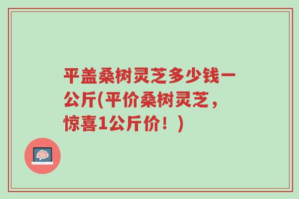 平盖桑树灵芝多少钱一公斤(平价桑树灵芝，惊喜1公斤价！)-第1张图片-超越