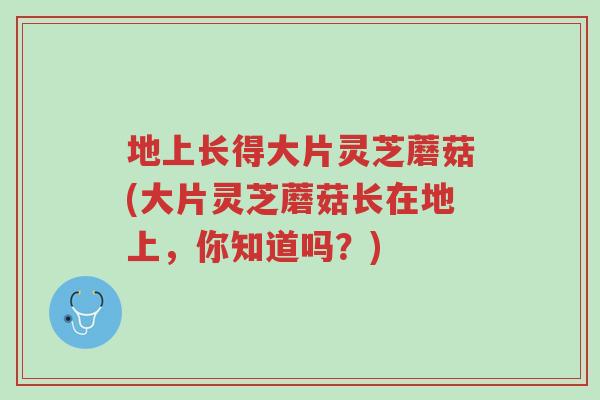 地上长得大片灵芝蘑菇(大片灵芝蘑菇长在地上,你知道吗?)-第1张图片-超越 地上长得大片灵芝蘑菇(大片灵芝蘑菇长在地上,你知道吗?)-第1张图片-超越