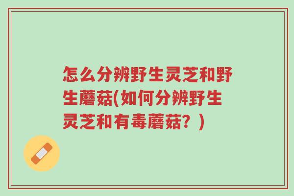 怎么分辨野生灵芝和野生蘑菇(如何分辨野生灵芝和有毒蘑菇？)-第1张图片-超越