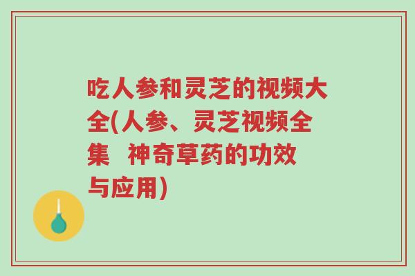 吃人参和灵芝的视频大全(人参、灵芝视频全集 神奇草药的功效与应用)-第1张图片-超越 吃人参和灵芝的视频大全(人参、灵芝视频全集 神奇草药的功效与应用)-第1张图片-超越