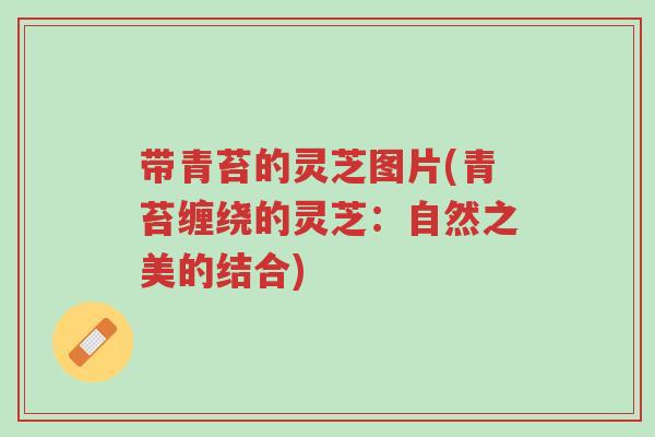 带青苔的灵芝图片(青苔缠绕的灵芝:自然之美的结合)-第1张图片-超越 带青苔的灵芝图片(青苔缠绕的灵芝:自然之美的结合)-第1张图片-超越