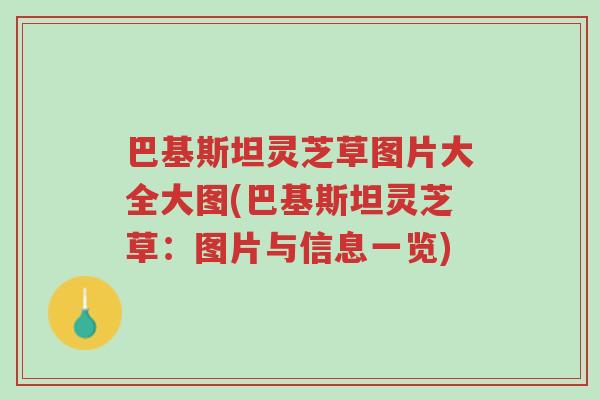 巴基斯坦灵芝草图片大全大图(巴基斯坦灵芝草:图片与信息一览)-第1张图片-超越 巴基斯坦灵芝草图片大全大图(巴基斯坦灵芝草:图片与信息一览)-第1张图片-超越