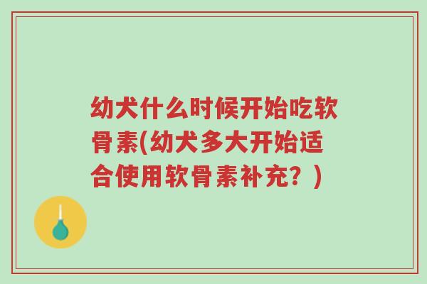 幼犬什么时候开始吃软骨素(幼犬多大开始适合使用软骨素补充?)-第1张图片-超越 幼犬什么时候开始吃软骨素(幼犬多大开始适合使用软骨素补充?)-第1张图片-超越