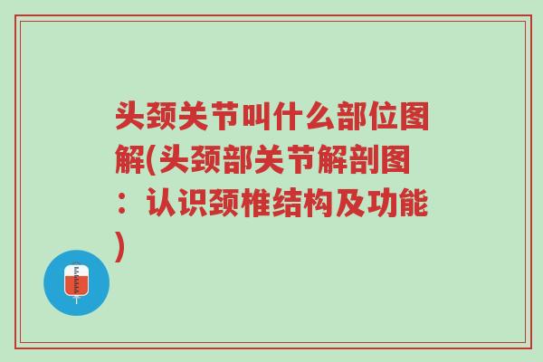 头颈关节叫什么部位图解(头颈部关节解剖图:认识颈椎结构及功能)-第1张图片-超越 头颈关节叫什么部位图解(头颈部关节解剖图:认识颈椎结构及功能)-第1张图片-超越