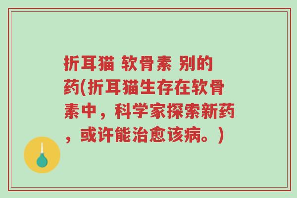 折耳猫 软骨素 别的药(折耳猫生存在软骨素中,科学家探索新药,或许能治愈该病。)-第1张图片-超越 折耳猫 软骨素 别的药(折耳猫生存在软骨素中,科学家探索新药,或许能治愈该病。)-第1张图片-超越