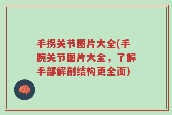 手拐关节图片大全(手腕关节图片大全,了解手部解剖结构更全面)-第1张图片-超越 手拐关节图片大全(手腕关节图片大全,了解手部解剖结构更全面)-第1张图片-超越