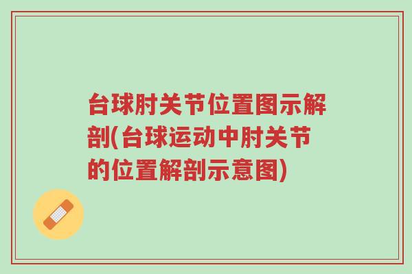 台球肘关节位置图示解剖(台球运动中肘关节的位置解剖示意图)-第1张图片-超越 台球肘关节位置图示解剖(台球运动中肘关节的位置解剖示意图)-第1张图片-超越