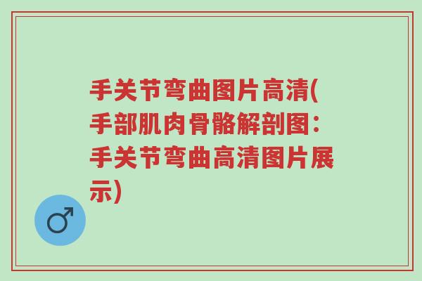 手关节弯曲图片高清(手部肌肉骨骼解剖图:手关节弯曲高清图片展示)-第1张图片-超越 手关节弯曲图片高清(手部肌肉骨骼解剖图:手关节弯曲高清图片展示)-第1张图片-超越
