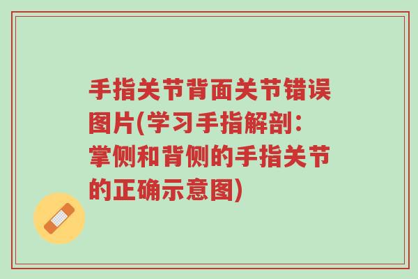 手指关节背面关节错误图片(学习手指解剖:掌侧和背侧的手指关节的正确示意图)-第1张图片-超越 手指关节背面关节错误图片(学习手指解剖:掌侧和背侧的手指关节的正确示意图)-第1张图片-超越