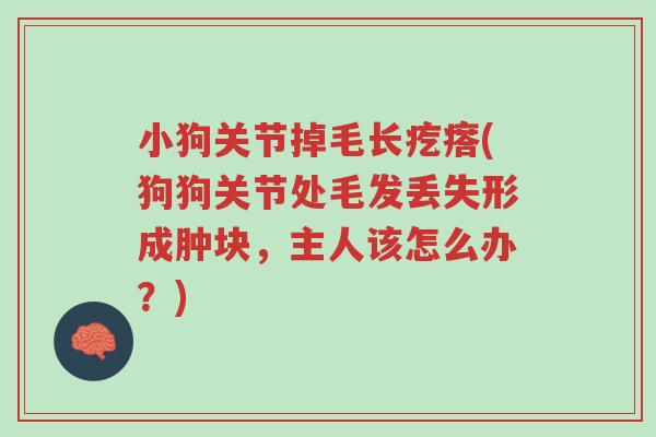 小狗关节掉毛长疙瘩(狗狗关节处毛发丢失形成肿块，主人该怎么办？)-第1张图片-超越