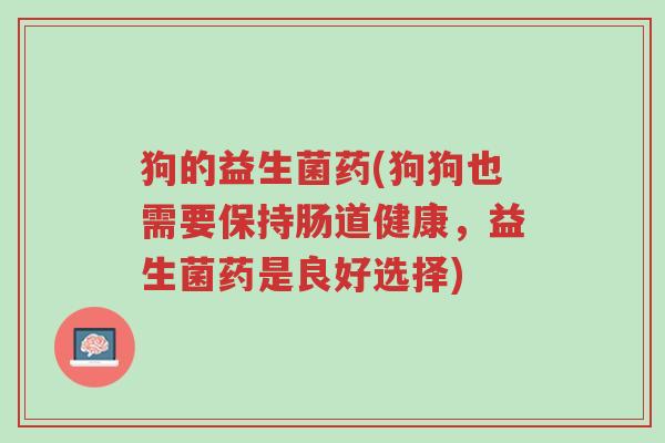 狗的益生菌药(狗狗也需要保持肠道健康,益生菌药是良好选择)-第1张图片-超越 狗的益生菌药(狗狗也需要保持肠道健康,益生菌药是良好选择)-第1张图片-超越