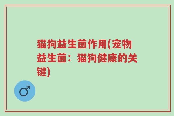 猫狗益生菌作用(宠物益生菌:猫狗健康的关键)-第1张图片-超越 猫狗益生菌作用(宠物益生菌:猫狗健康的关键)-第1张图片-超越