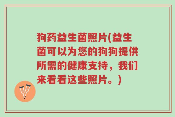狗药益生菌照片(益生菌可以为您的狗狗提供所需的健康支持,我们来看看这些照片。)-第1张图片-超越 狗药益生菌照片(益生菌可以为您的狗狗提供所需的健康支持,我们来看看这些照片。)-第1张图片-超越