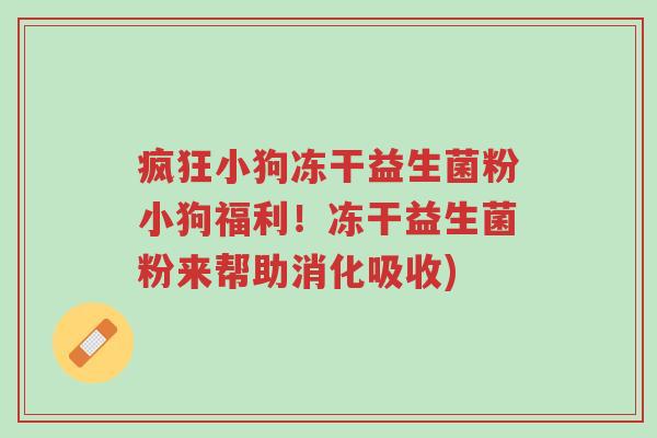 疯狂小狗冻干益生菌粉小狗福利！冻干益生菌粉来帮助消化吸收)-第1张图片-超越