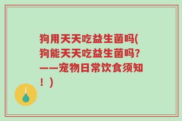 狗用天天吃益生菌吗(狗能天天吃益生菌吗?——宠物日常饮食须知!)-第1张图片-超越 狗用天天吃益生菌吗(狗能天天吃益生菌吗?——宠物日常饮食须知!)-第1张图片-超越
