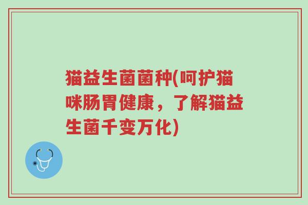 猫益生菌菌种(呵护猫咪肠胃健康，了解猫益生菌千变万化)-第1张图片-超越