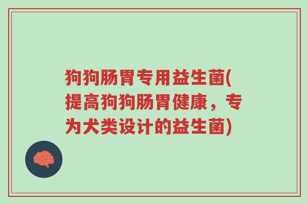 狗狗肠胃专用益生菌(提高狗狗肠胃健康,专为犬类设计的益生菌)-第1张图片-超越 狗狗肠胃专用益生菌(提高狗狗肠胃健康,专为犬类设计的益生菌)-第1张图片-超越