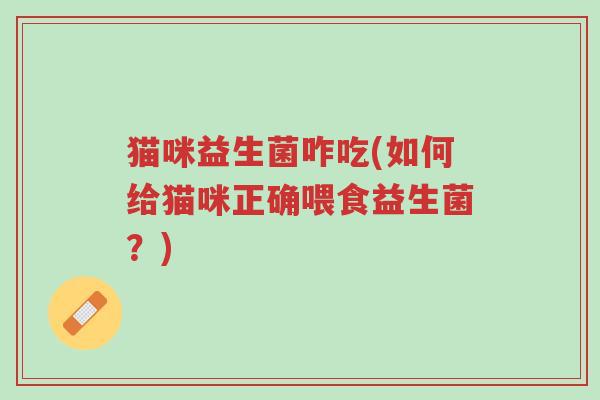 猫咪益生菌咋吃(如何给猫咪正确喂食益生菌?)-第1张图片-超越 猫咪益生菌咋吃(如何给猫咪正确喂食益生菌?)-第1张图片-超越