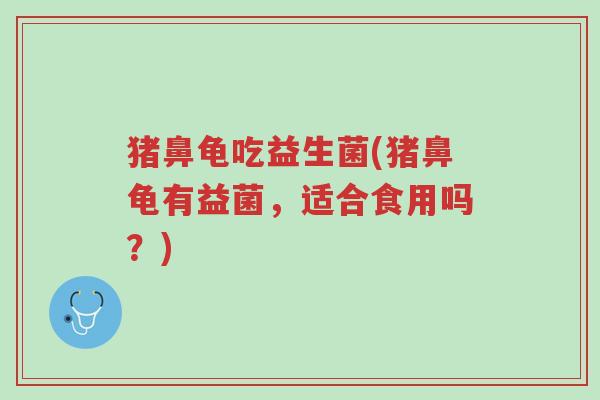 猪鼻龟吃益生菌(猪鼻龟有益菌,适合食用吗?)-第1张图片-超越 猪鼻龟吃益生菌(猪鼻龟有益菌,适合食用吗?)-第1张图片-超越