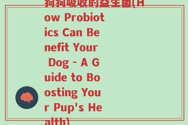 狗狗吸收的益生菌(How Probiotics Can Benefit Your Dog - A Guide to Boosting Your Pup's Health)-第1张图片-超越 狗狗吸收的益生菌(How Probiotics Can Benefit Your Dog - A Guide to Boosting Your Pup's Health)-第1张图片-超越