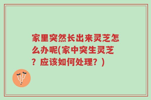 家里突然长出来灵芝怎么办呢(家中突生灵芝？应该如何处理？)-第1张图片-超越