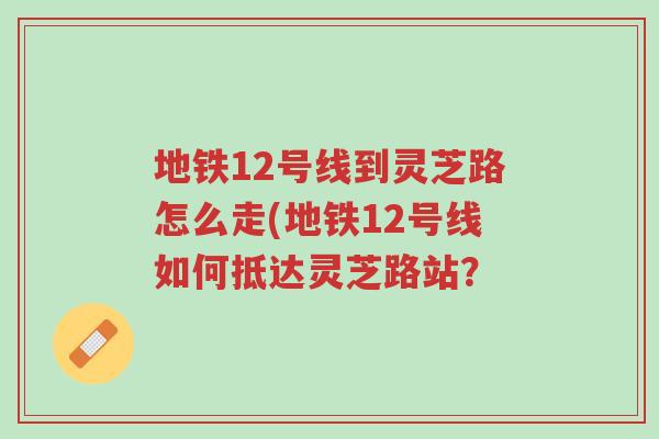 地铁12号线到灵芝路怎么走(地铁12号线如何抵达灵芝路站？-第1张图片-超越