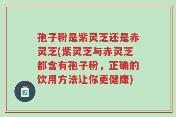 孢子粉是紫灵芝还是赤灵芝(紫灵芝与赤灵芝都含有孢子粉，正确的饮用方法让你更健康)-第1张图片-超越