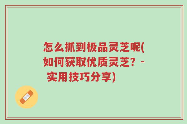 怎么抓到极品灵芝呢(如何获取优质灵芝?- 实用技巧分享)-第1张图片-超越 怎么抓到极品灵芝呢(如何获取优质灵芝?- 实用技巧分享)-第1张图片-超越