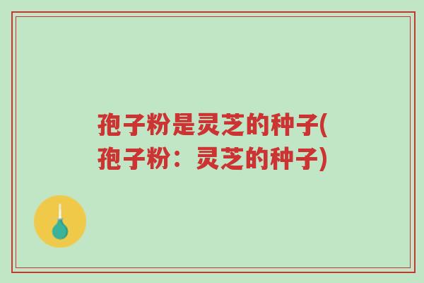 孢子粉是灵芝的种子(孢子粉:灵芝的种子)-第1张图片-超越 孢子粉是灵芝的种子(孢子粉:灵芝的种子)-第1张图片-超越