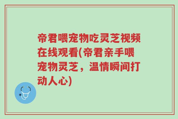 帝君喂宠物吃灵芝视频在线观看(帝君亲手喂宠物灵芝,温情瞬间打动人心)-第1张图片-超越 帝君喂宠物吃灵芝视频在线观看(帝君亲手喂宠物灵芝,温情瞬间打动人心)-第1张图片-超越