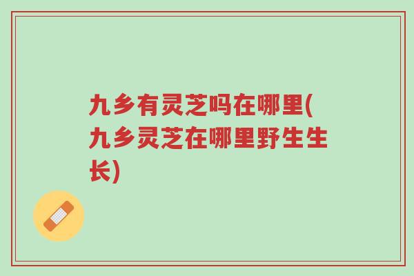 九乡有灵芝吗在哪里(九乡灵芝在哪里野生生长)-第1张图片-超越 九乡有灵芝吗在哪里(九乡灵芝在哪里野生生长)-第1张图片-超越