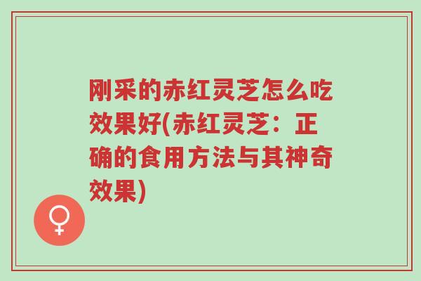 刚采的赤红灵芝怎么吃效果好(赤红灵芝：正确的食用方法与其神奇效果)-第1张图片-超越