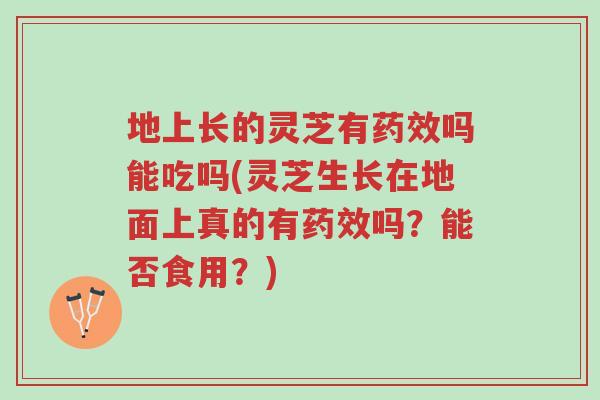 地上长的灵芝有药效吗能吃吗(灵芝生长在地面上真的有药效吗?能否食用?)-第1张图片-超越 地上长的灵芝有药效吗能吃吗(灵芝生长在地面上真的有药效吗?能否食用?)-第1张图片-超越