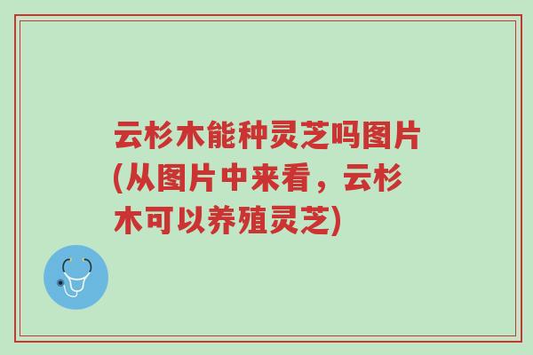 云杉木能种灵芝吗图片(从图片中来看,云杉木可以养殖灵芝)-第1张图片-超越 云杉木能种灵芝吗图片(从图片中来看,云杉木可以养殖灵芝)-第1张图片-超越