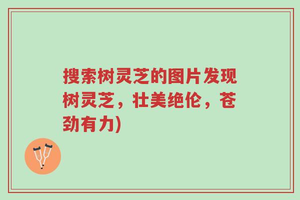 搜索树灵芝的图片发现树灵芝,壮美绝伦,苍劲有力)-第1张图片-超越 搜索树灵芝的图片发现树灵芝,壮美绝伦,苍劲有力)-第1张图片-超越