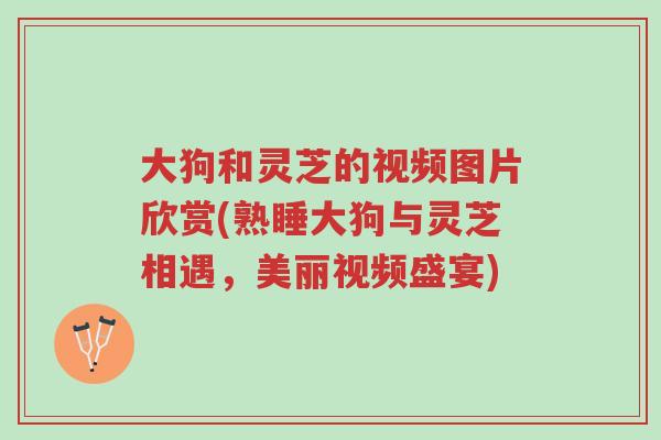 大狗和灵芝的视频图片欣赏(熟睡大狗与灵芝相遇,美丽视频盛宴)-第1张图片-超越 大狗和灵芝的视频图片欣赏(熟睡大狗与灵芝相遇,美丽视频盛宴)-第1张图片-超越