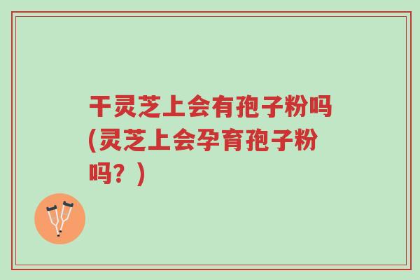 干灵芝上会有孢子粉吗(灵芝上会孕育孢子粉吗?)-第1张图片-超越 干灵芝上会有孢子粉吗(灵芝上会孕育孢子粉吗?)-第1张图片-超越