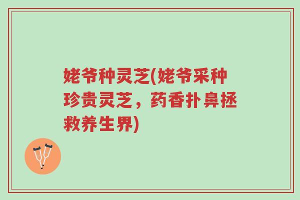 姥爷种灵芝(姥爷采种珍贵灵芝,药香扑鼻拯救养生界)-第1张图片-超越 姥爷种灵芝(姥爷采种珍贵灵芝,药香扑鼻拯救养生界)-第1张图片-超越