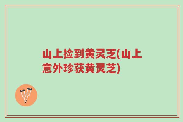 山上捡到黄灵芝(山上意外珍获黄灵芝)-第1张图片-超越 山上捡到黄灵芝(山上意外珍获黄灵芝)-第1张图片-超越