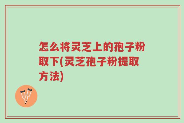 怎么将灵芝上的孢子粉取下(灵芝孢子粉提取方法)-第1张图片-超越 怎么将灵芝上的孢子粉取下(灵芝孢子粉提取方法)-第1张图片-超越