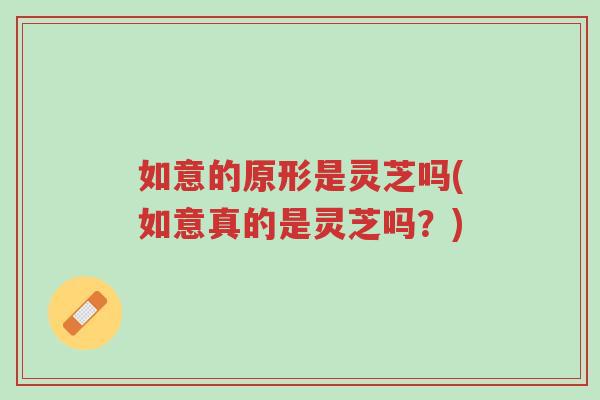 如意的原形是灵芝吗(如意真的是灵芝吗?)-第1张图片-超越 如意的原形是灵芝吗(如意真的是灵芝吗?)-第1张图片-超越