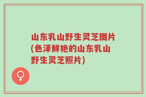 山东乳山野生灵芝图片(色泽鲜艳的山东乳山野生灵芝照片)-第1张图片-超越 山东乳山野生灵芝图片(色泽鲜艳的山东乳山野生灵芝照片)-第1张图片-超越