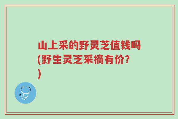 山上采的野灵芝值钱吗(野生灵芝采摘有价？)-第1张图片-超越